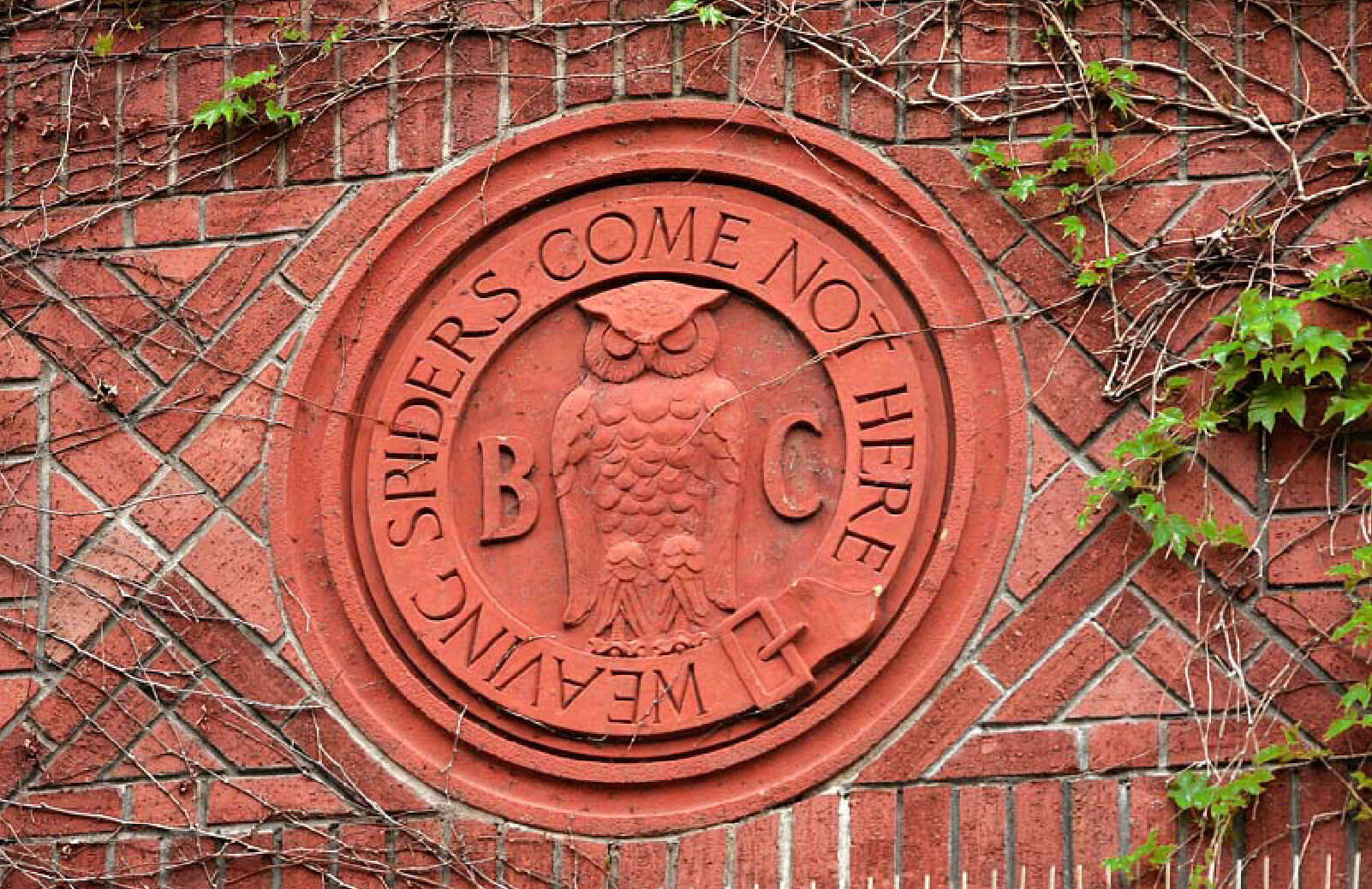 Weaving Spiders Come Not Here